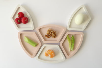 Modular Seder dish