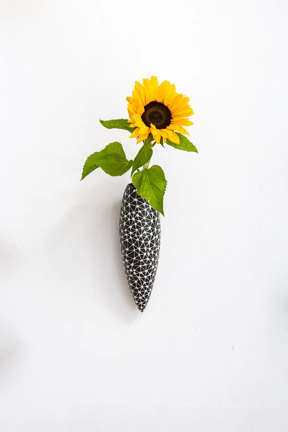 Wall hanging vase-  Black with White Stars