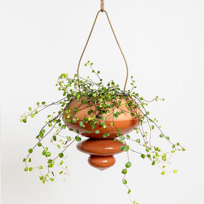 Terracotta hanging planter- large- Glossy Finish